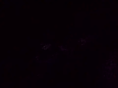 FuckkkStarrr Show Webcam