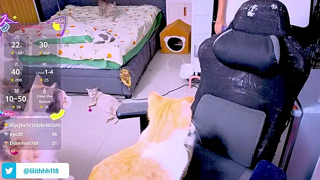 Živý XXX chat Kana_G