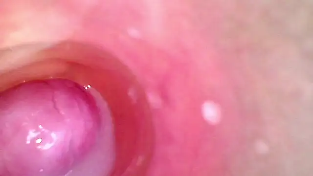 karol_kaneのウェブ カメラショー