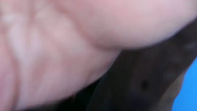 Онлайн чат XXX eduhot94