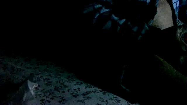 tobikoyuzu Chat XXX live