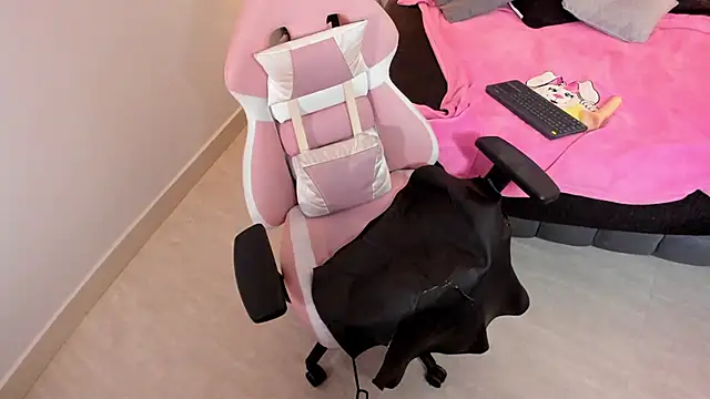 kitticam: διαδικτυακό σόου στην κάμερα