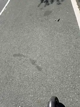 415cali925 即時 XXX 聊天