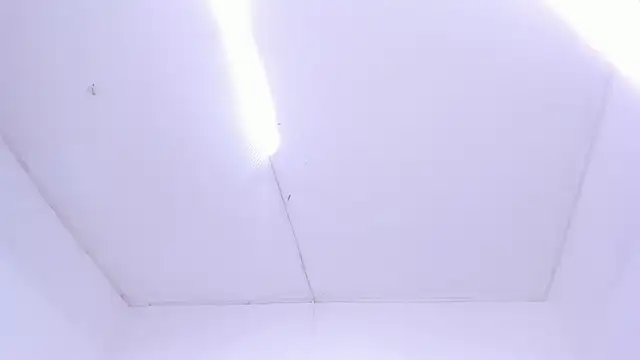 dullce77's Live XXX Chat