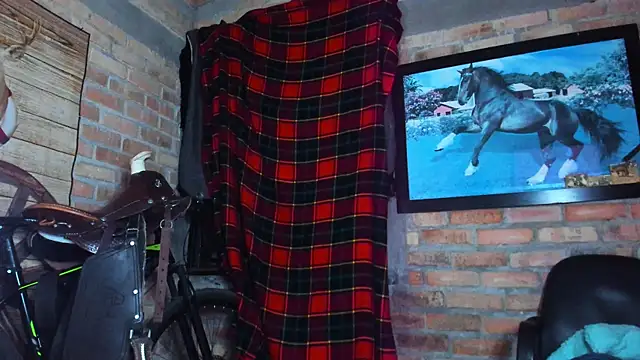 Czat XXX na żywo – dominic_jonson