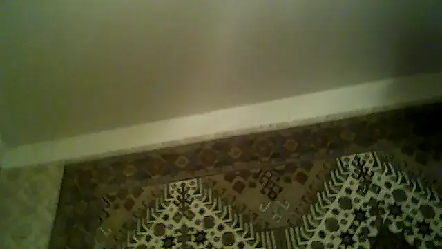 Chat +18 de FayInessaKiss ao vivo