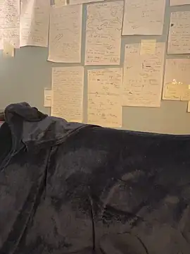 Canneela 即時 XXX 聊天