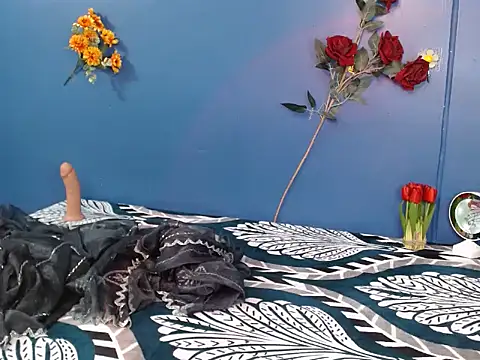 Hotginni4 Show Webcam