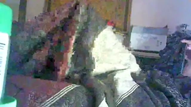 GUAPAN3S3_FIR3n Live XXX chat