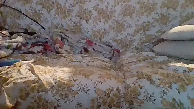 Webkamerová show woww791