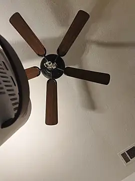 himNIGuys Live XXX-Chat