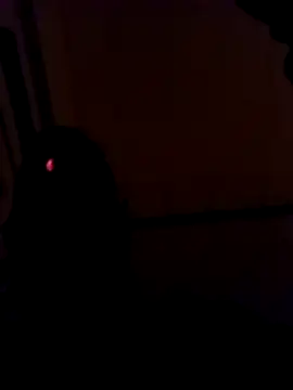 PornhudsexのライブXXXチャット