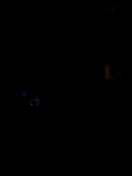 Chat XXX en directo de CHLOMA