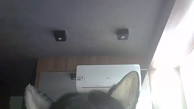 Show de webcam de SkinnyKitten