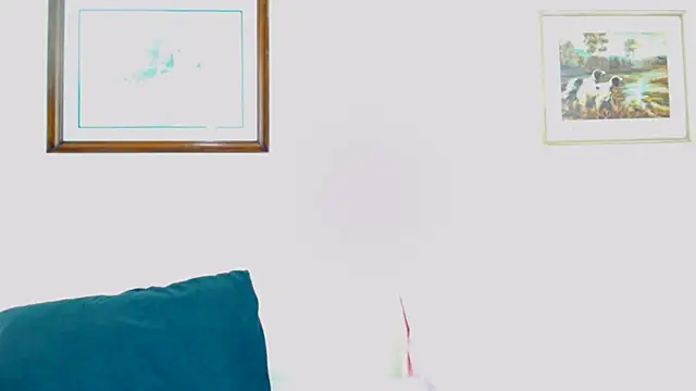 THICKNTASTY88's Webcam Show