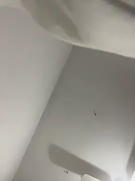 Chatroom XXX en direct de baddieasiantv