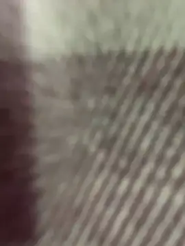 Chat XXX en directo de StasyWood