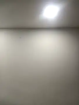 CelesteAlvarez1989's Webcam Show