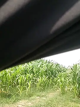 Онлайн чат XXX ThethunderPo