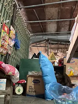 Webkamerová show BellaCherishDarling