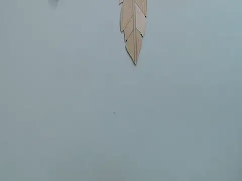 pelusa18ass Adlı Modelin Canlı XXX Sohbeti