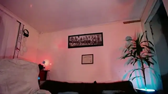 tiancam: διαδικτυακό σόου στην κάμερα