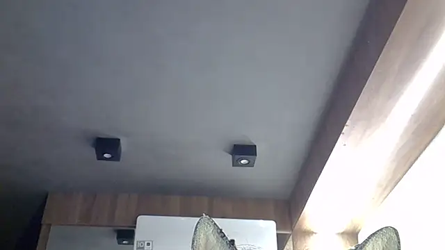 SkinnyKitten 在線直播表演