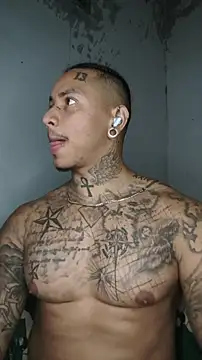 David_tatto1's Live XXX Chat