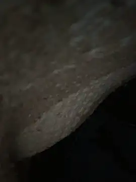 Show de webcam de lanzg