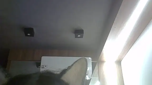 Chat +18 de SkinnyKitten ao vivo