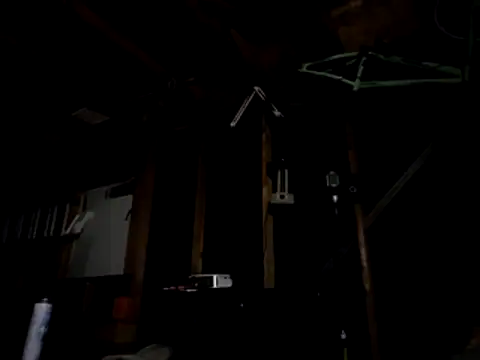 thejuicybacon webcam show