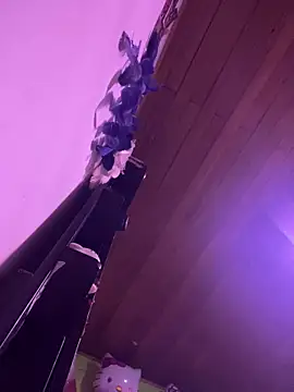 XBODTRIIPX 即時 XXX 聊天