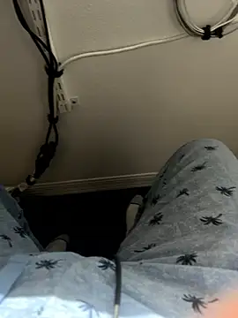 Webkamerová show awesomemilkss