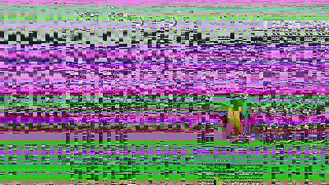 londonfuckwhore 网络视讯表演