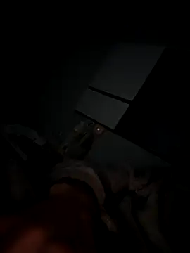 Show webcam de Antonn6969