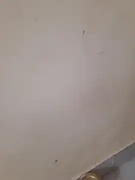 sexy_shital: διαδικτυακό σόου στην κάμερα