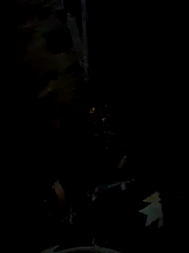 callejero205's Live XXX Chat