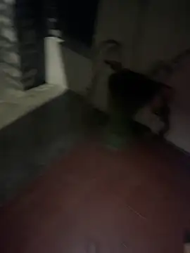 royalgirls_x 现场XXX聊天