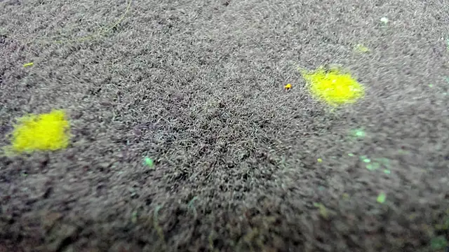 Chat XXX en directo de AishaRouhi