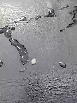 DaviidBuckx_ Show Webcam