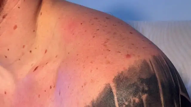 BLue_eyed_Bully Chat XXX live