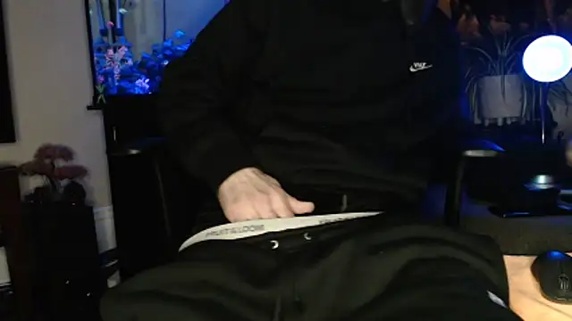 Show webcam de EspanolVato