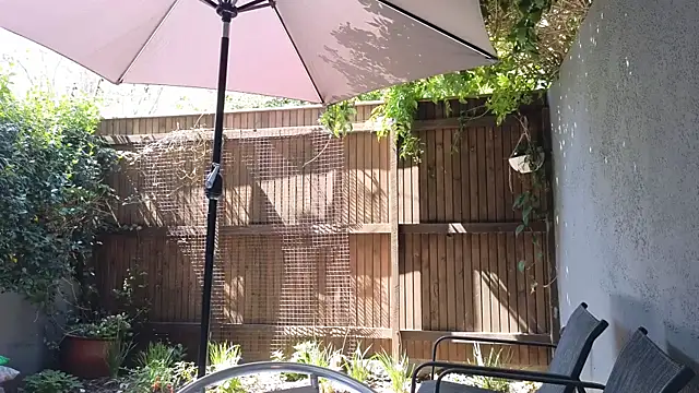 TopsyWilde élő XXX-chatje