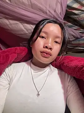 beobeo_2xx 网络视讯表演