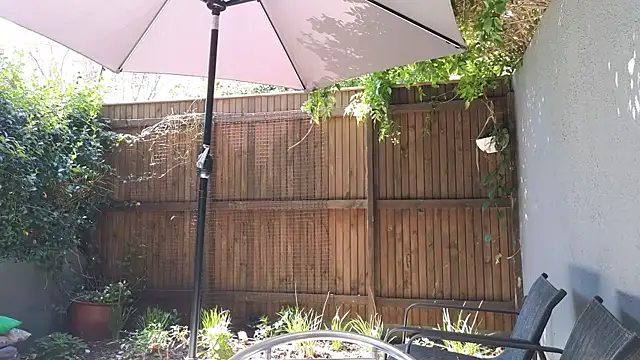 TopsyWilde লাইভ XXX চ্যাট