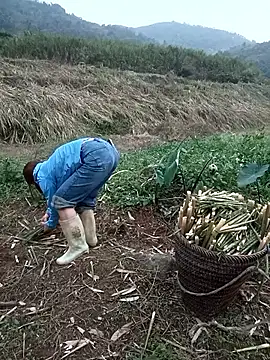 nangmo Adlı Modelin Canlı XXX Sohbeti