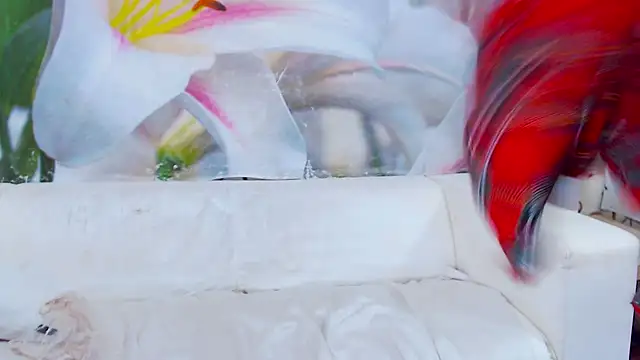 دردشة Lilly_Diaz الجنسية المباشرة