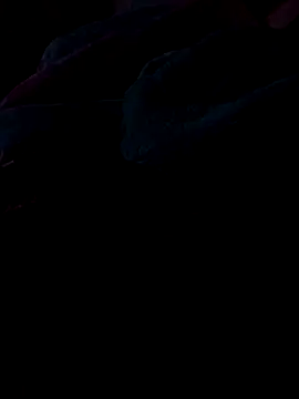 pene20cmvaginal webkamerás műsora