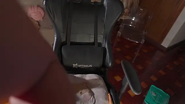 KateOwens live XXX chat