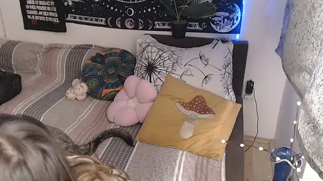 Chatroom XXX en direct de AlienforTwenty